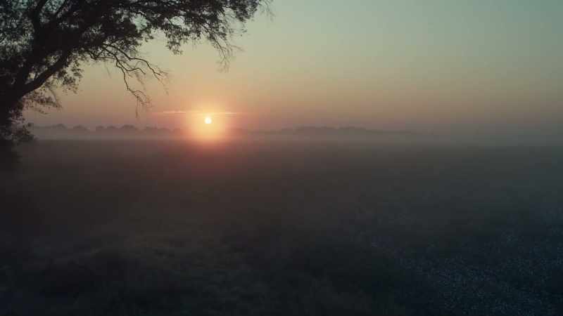 There is no center any longer, and the sacred tree is dead.