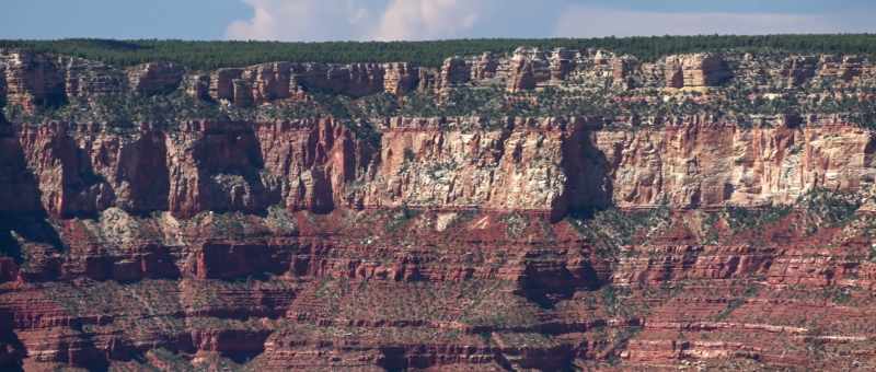 and there is no evidence of erosion here