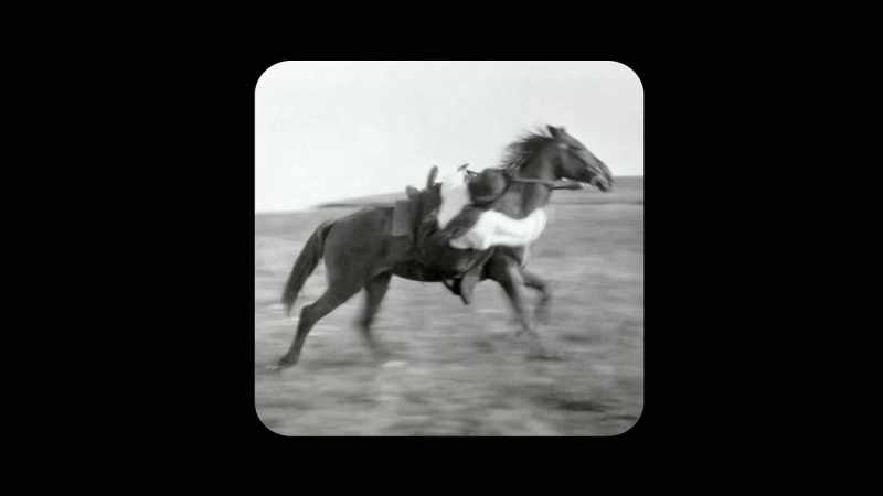 There were no roads. (neighing)
