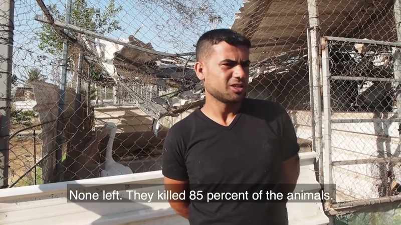 There is nothing left; about 85 percent are dead