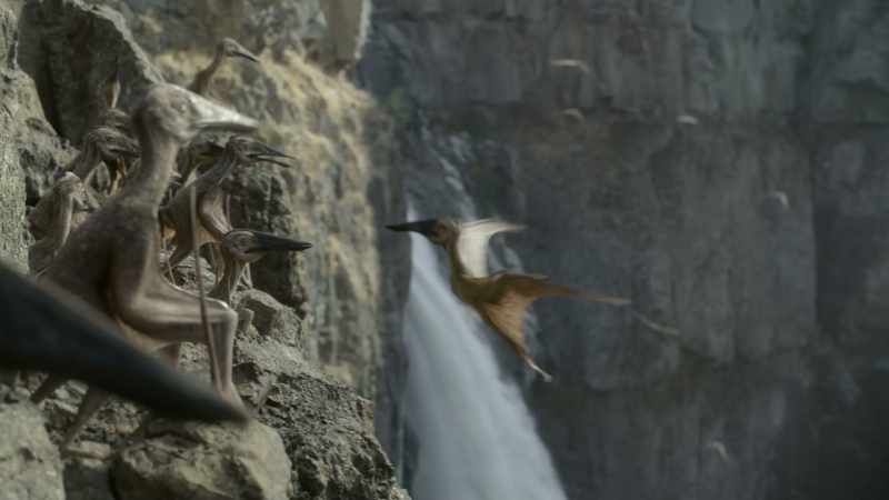 There were over 250 species