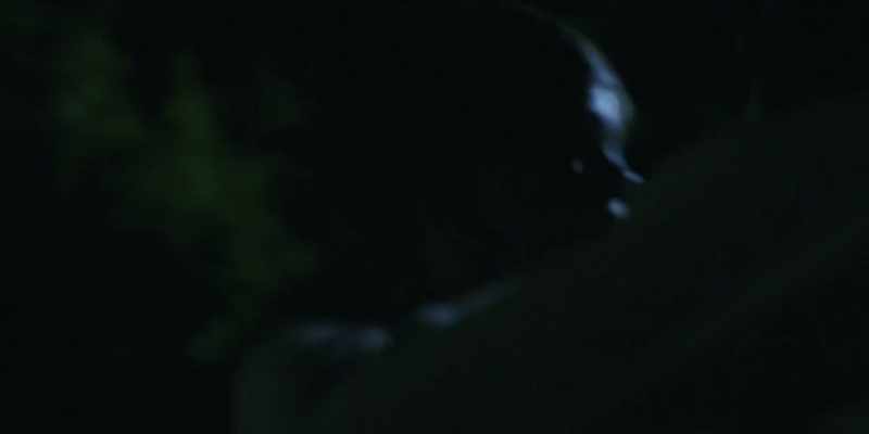 There. See it? I don't want you to be scared