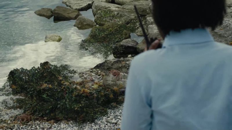There is something in the water