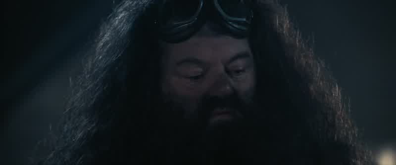 There, there, Hagrid
