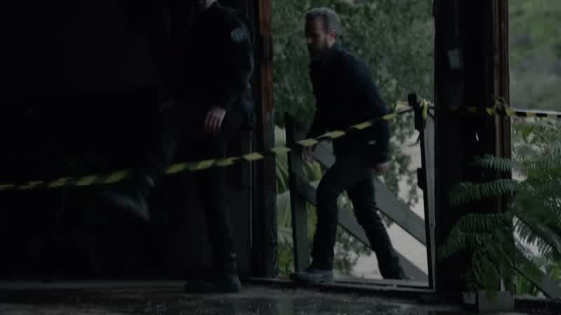 There were twelve bodies