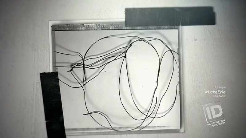 THERE WAS WIRE FOUND IN THE BASEMENT