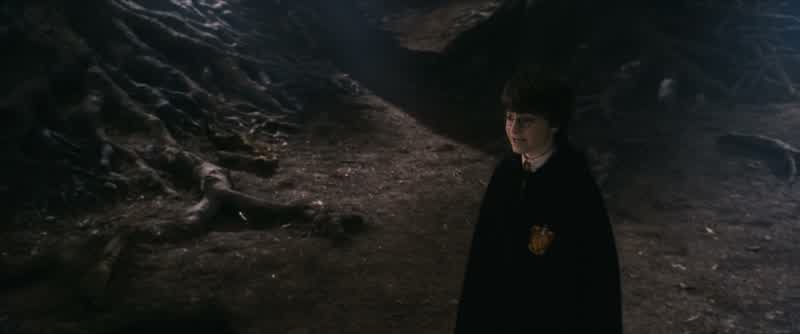 Therefore, as punishment for your actions, 50 points will be taken