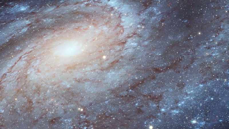 Therefore, the universe is imbued