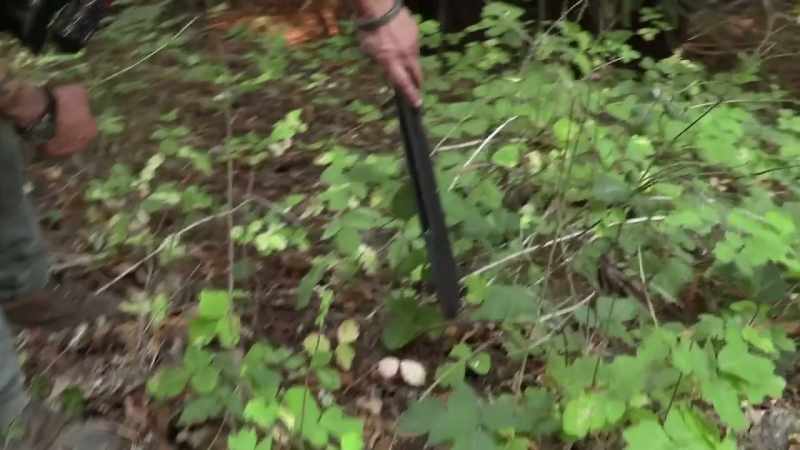 There's a flat spot right here