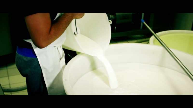 There's a strong link between dairy foods
