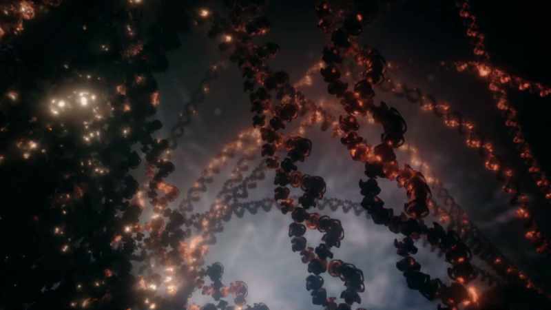 There's a version of a gene, called FOXP2