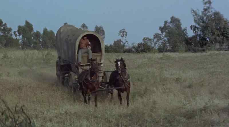 There's a wagon coming, Captain. Who's in it?