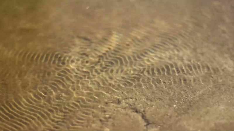 There's a whole field called cymatics