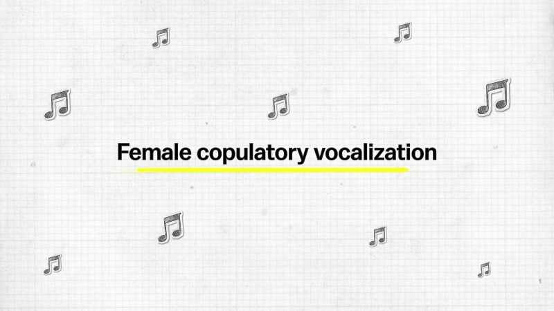 There's also female copulatory vocalization