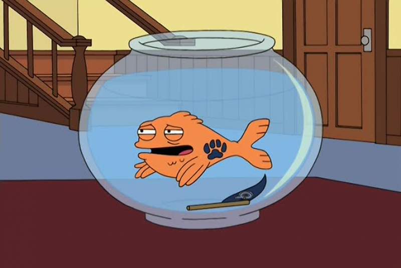 There's an old German saying Don't blame the fish