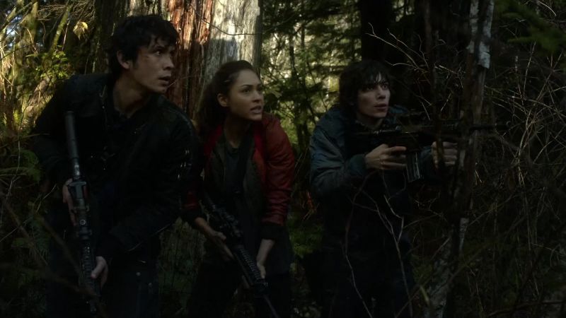 There's Grounders in the trees