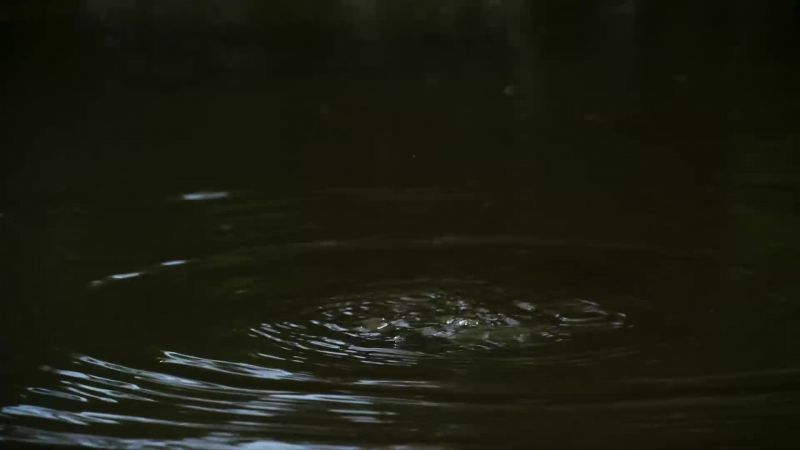 There's just bubbles just coming up to the surface