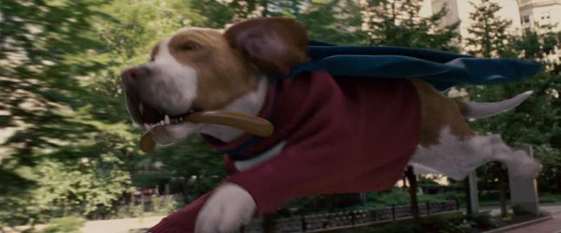 There's no need for fright Underdog's got bite