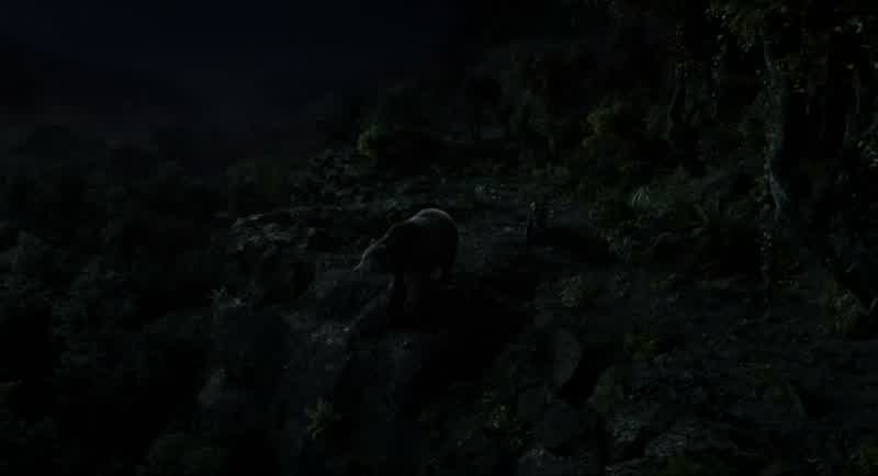 There's no trace of him