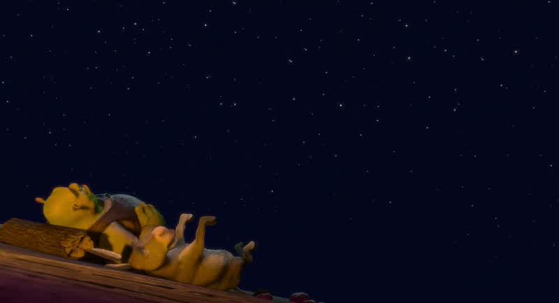 Hey Shrek What are you gonna do when we get our swamp back anywayOur swamp You know When we're through rescuing the princess and all that stuffWe Donkey there is no we There's no ourThere's just me