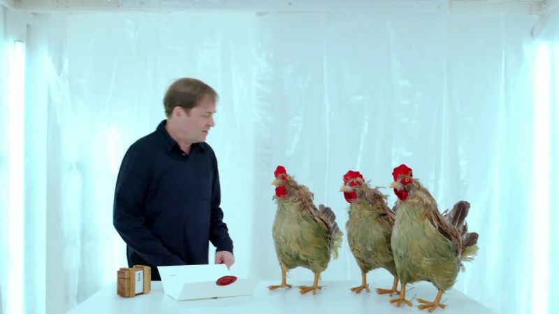 There's not very many ducks in here