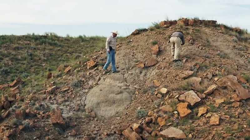 THERE'S NOTHING BETTER THAN FINDING LIKE A T. REX TOOTH