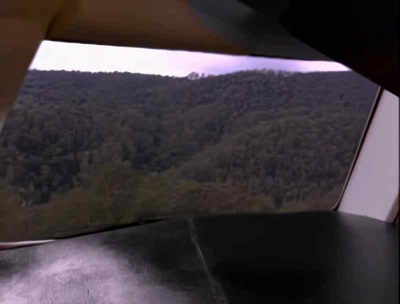 There's nothing but trees