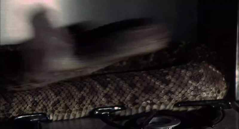 There's another one!
