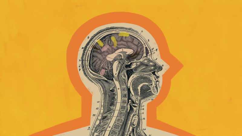 There's something changing inside of our brain as we meditate