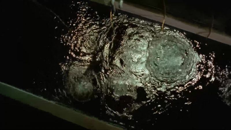 There's something living in there. - Goa'uld symbiotes
