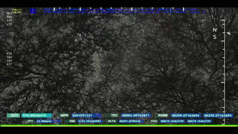 Thermal images are a negative
