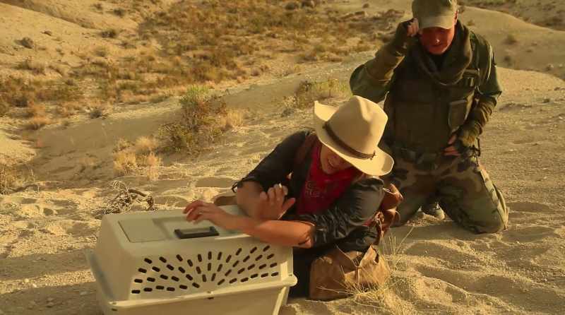 These are cold-blooded, battle hardened soldiers