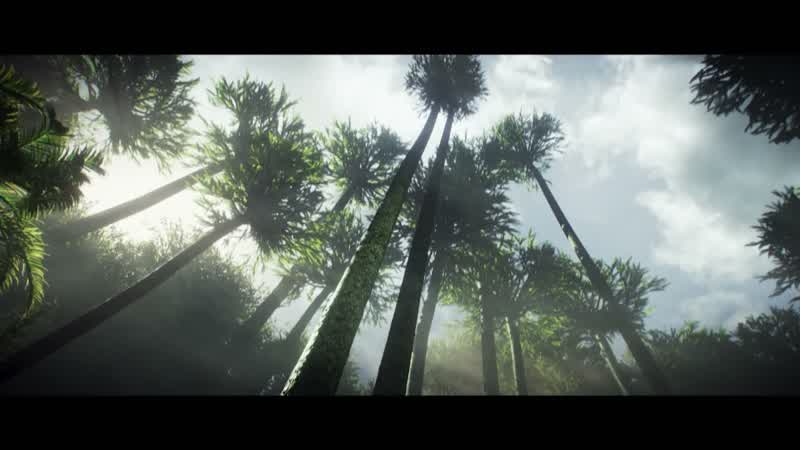These are part of a group called lycopods, or scale trees