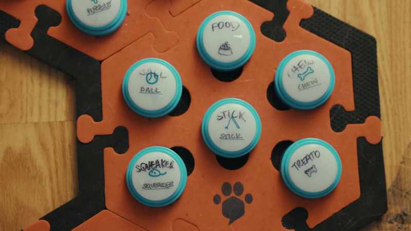 These are the buttons that Parker uses