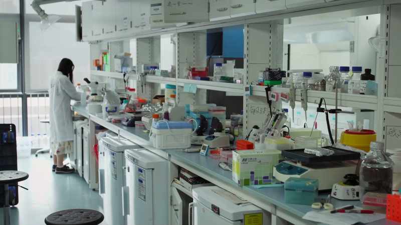 These are the first human beings born with genomes