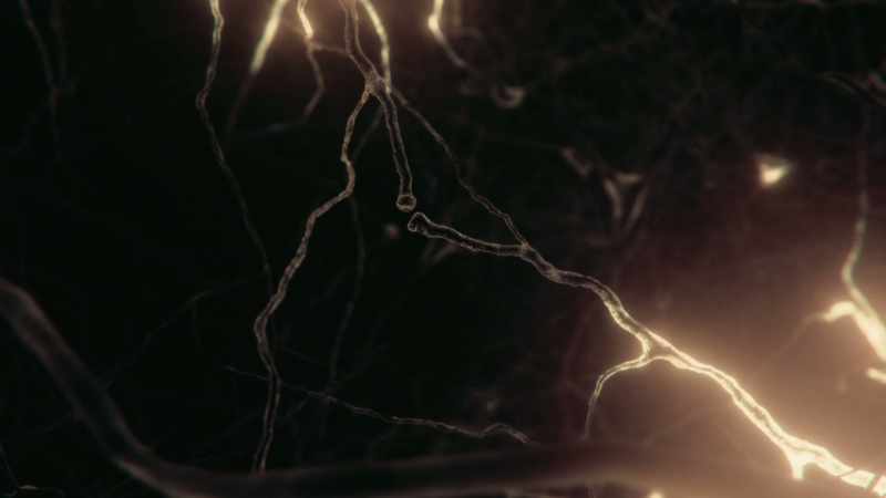 These are tiny electrochemical switching elements