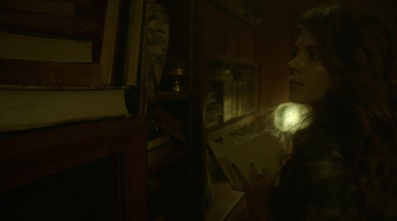 These books are older than this house