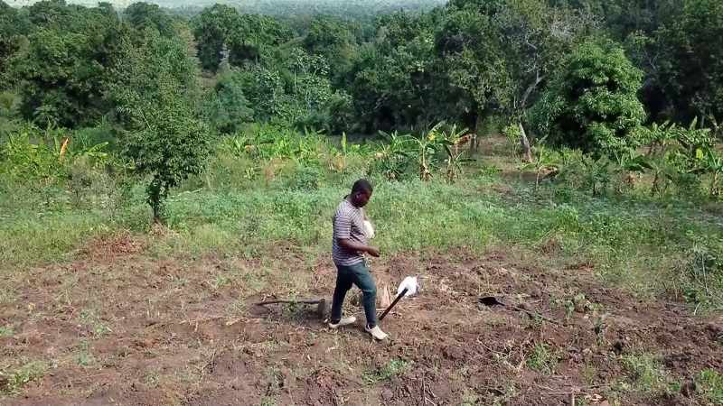 These changes affected our country's production