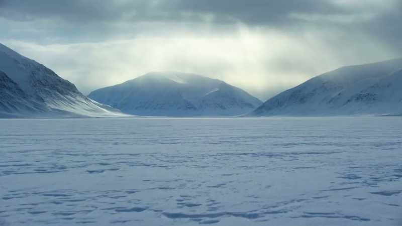 These changes in the ice may benefit the bears for now