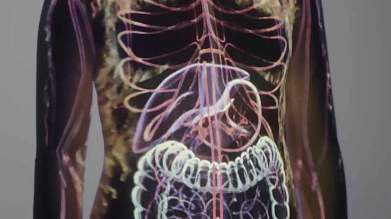 These chemicals in the brain that trigger for hunger