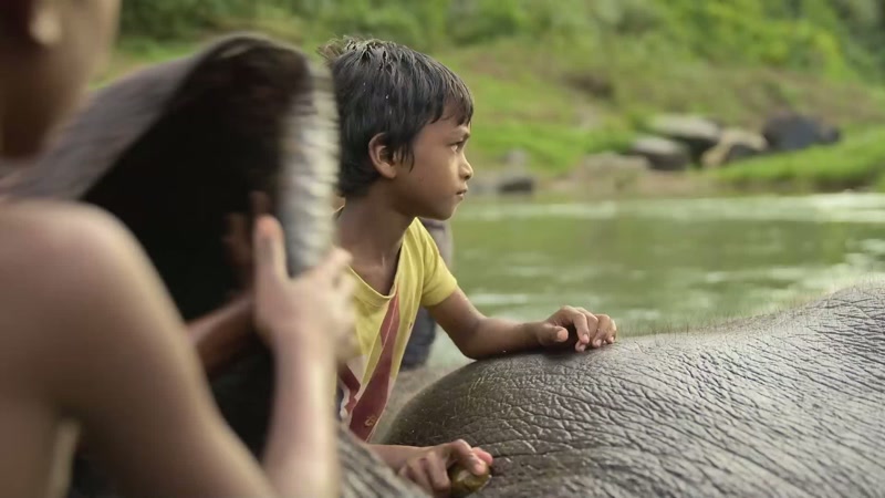 These children are our future