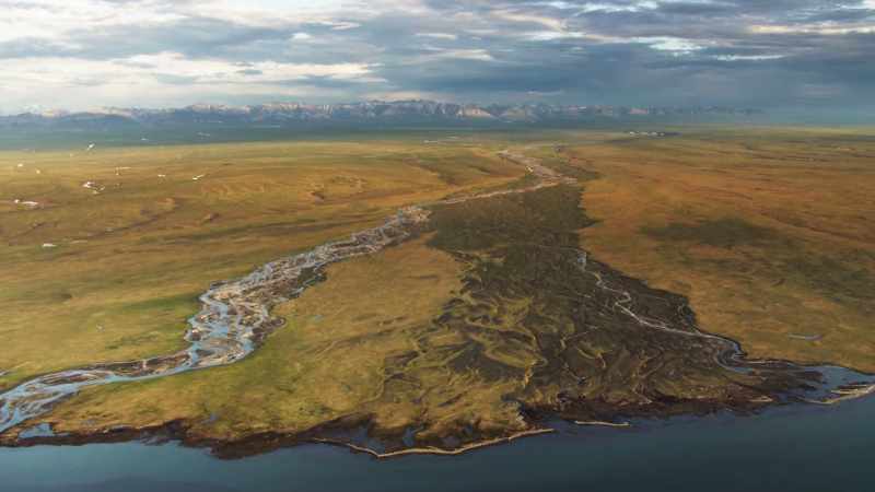 These coastal pastures bordering the Arctic Ocean