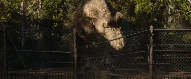 These creatures were here before us