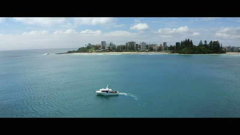 These culling programs off Australian shores