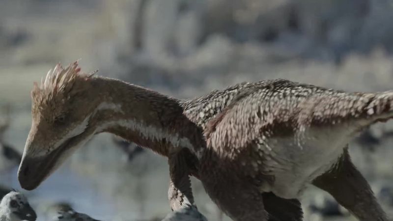 These dinosaurs and the Styginetta are both drawn here