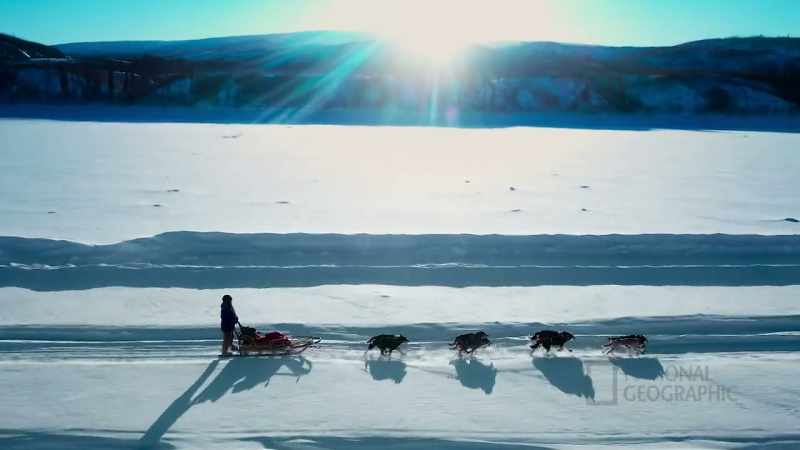 These dogs are made for this environment