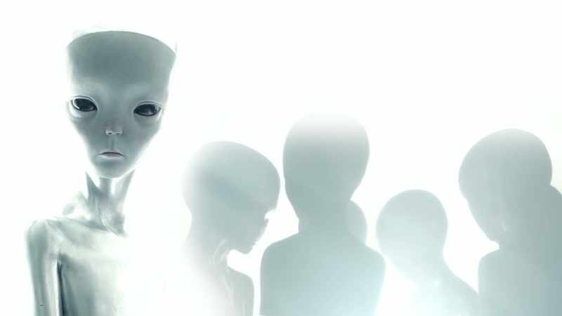 These encounters range from enlightening to terrifying