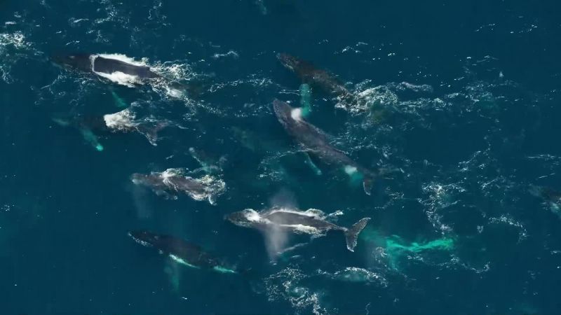 These extraordinary scenes were unimaginable just a few years ago
