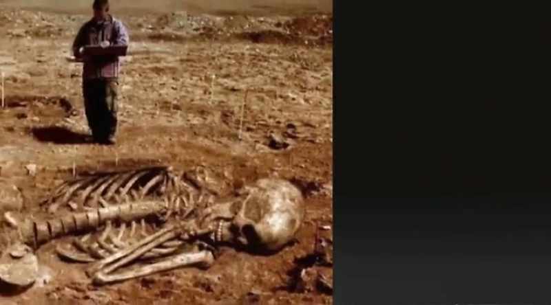 These fakes often turn away scientists