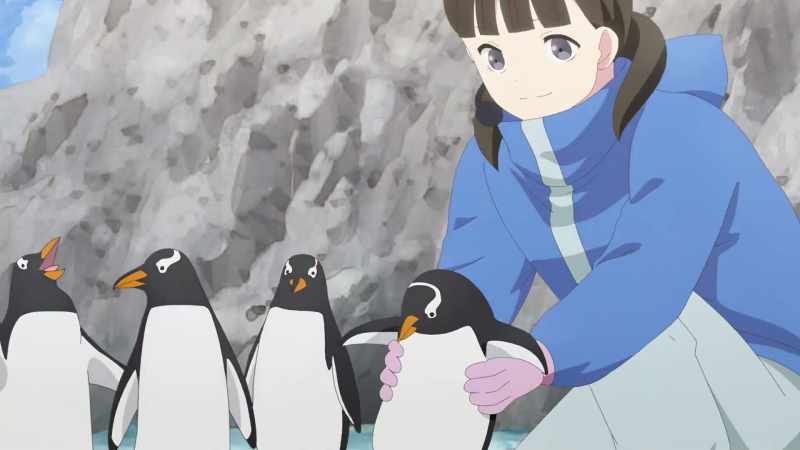 These five penguins are sisters